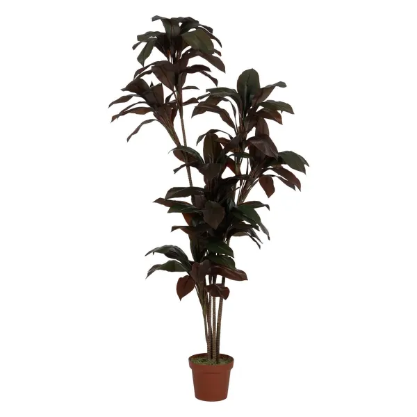 Koristekasvi Polyetyleeni Rauta Sementti 45 x 45 x 170 cm