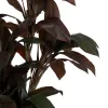 Koristekasvi Polyetyleeni Rauta Sementti 45 x 45 x 170 cm