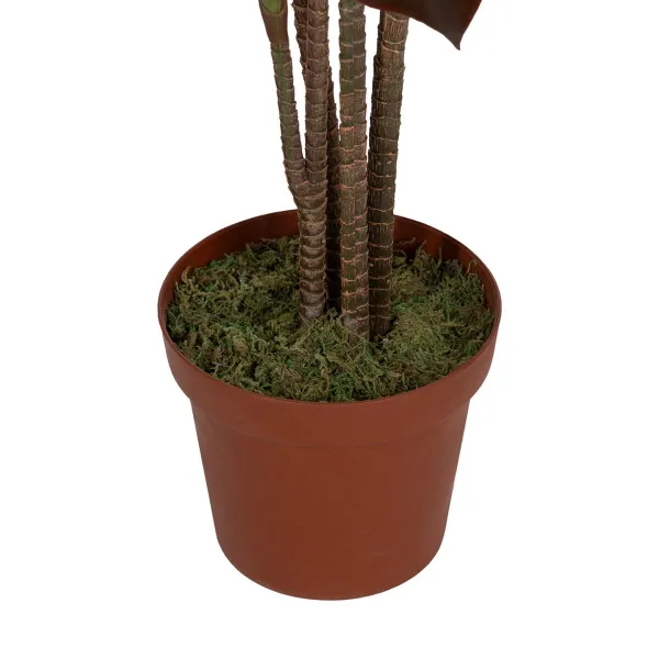 Koristekasvi Polyetyleeni Rauta Sementti 45 x 45 x 170 cm