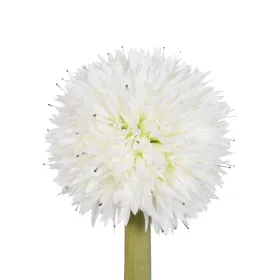 Padjapüür Happy Home MIX COLORS Beež Super king 144 niiti 50 x 75 cm (2 tk)