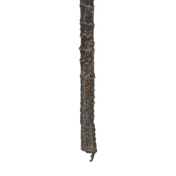 Dekoratyvinis augalas PEVA 29 x 29 x 66 cm