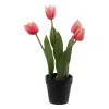 Koristekasvi Polyesteri Polyetyleeni Rauta 11 x 11 x 31 cm