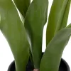Koristekasvi Polyesteri Polyetyleeni Rauta 11 x 11 x 31 cm