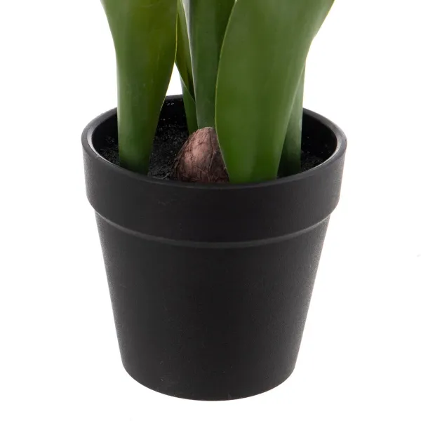 Koristekasvi Polyesteri Polyetyleeni Rauta 11 x 11 x 31 cm