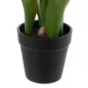 Koristekasvi Polyesteri Polyetyleeni Rauta 11 x 11 x 31 cm
