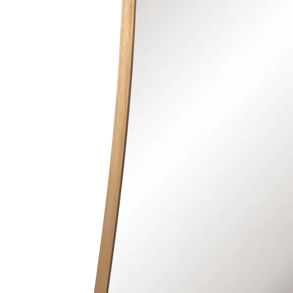 Sienas spogulis Bronza 50 X 6 X 160 CM