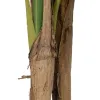 Decorative Plant Rubber 90 X 90 X 125 CM