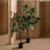 Декоративное растение Резина полипропилен 50 x 50 x 120 cm