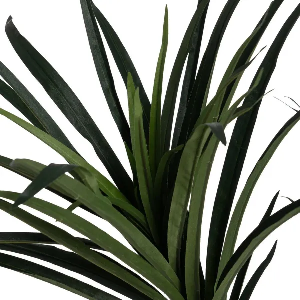 Dekoratyvinis augalas Guma polipropileno 70 x 70 x 130 cm