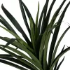 Dekoratyvinis augalas Guma polipropileno 70 x 70 x 130 cm