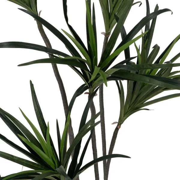 Dekoratyvinis augalas Guma polipropileno 70 x 70 x 130 cm