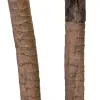 Decorative Plant Rubber 60 X 60 X 110 CM