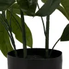 Dekoratyvinis augalas 50 X 50 X 70 CM