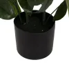 Decorative Plant 50 X 50 X 70 CM