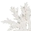 Koristehahmo Valkoinen Hartsi Koralli 34 X 13 X 27 CM