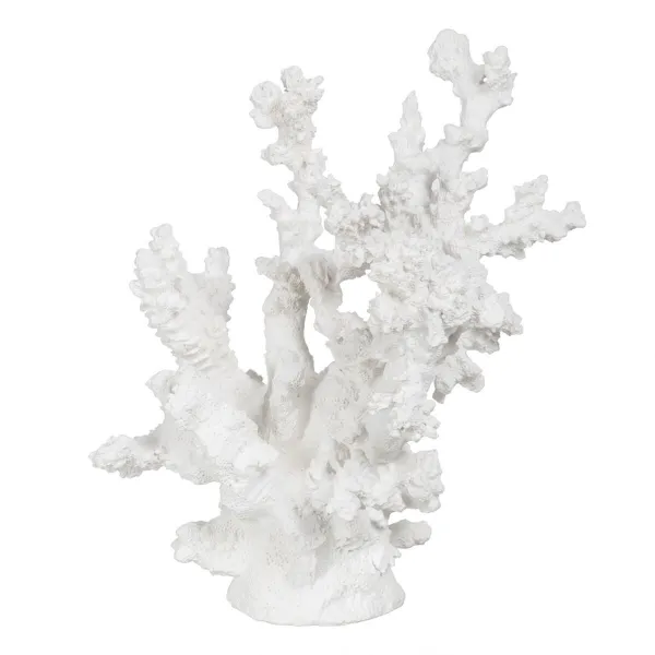 Koristehahmo Valkoinen Hartsi Koralli 17 x 17 x 20 cm