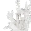 Koristehahmo Valkoinen Hartsi Koralli 17 x 17 x 20 cm
