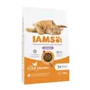 Cat food IAMS Advanced Nutrition Hairball Control Chicken 10 kg