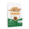 Cat food IAMS Advanced Nutrition Cat Adult Lamb 10 kg