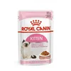 Cat food Royal Canin Kitten Gravy 85 g