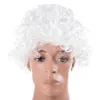 Santa Claus Wig Springos CA0034