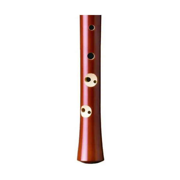 Saldā Flauta Hohner Apvalks