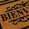 Дверной Коврик BIENVENUE Коричневый Чёрный PVC Кокосовое волокно 60 x 40 x 1,5 cm