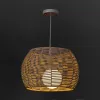 Ceiling Light Natural 60 W