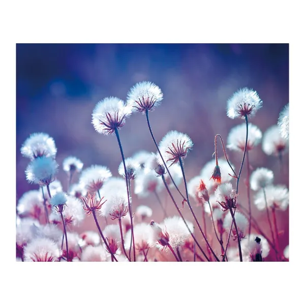 Canvas Koks Canvas 100 x 3 x 80 cm