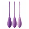Pelvic Floor Exerciser Pipedream