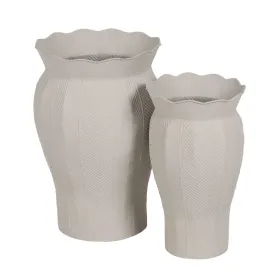 stādītājs Dzelzs (2 gb.)