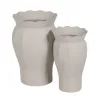 stādītājs Dzelzs (2 gb.)
