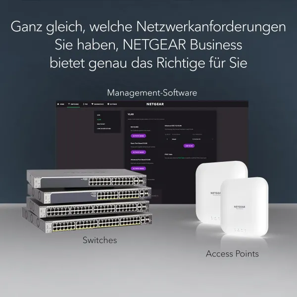 Lüliti Netgear GS116-300EUS