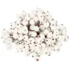 Keinotekoinen koriste-pihlaja, mattaoksa Springos CA0743 12mm, 100 kpl.
