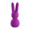 Vibrobulta-trusītis FemmeFunn Stubby 2 Violets