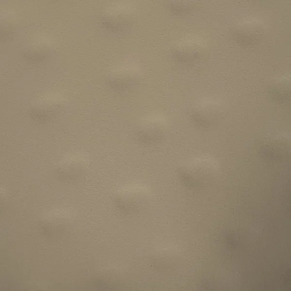 Декоративный поднос Зеленый Бежевый Цветы 43 x 31 x 5 cm