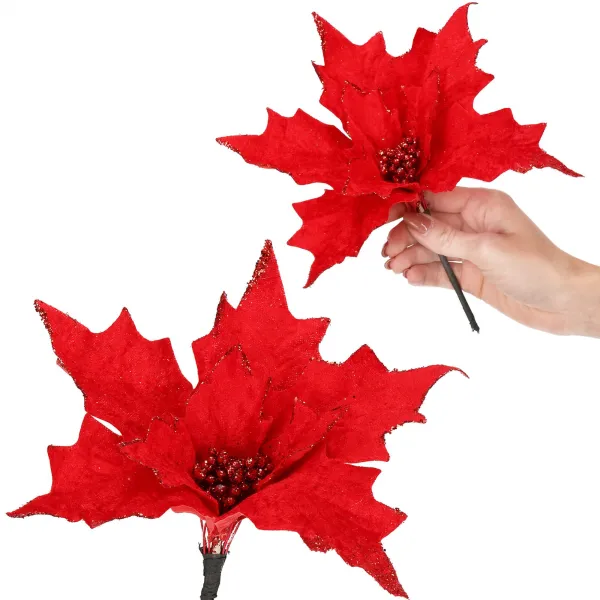 CA0721 KALĖDŲ PUOMENYS "POINSETTIA"