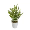 Koristekasvi Polyetyleeni Muovinen Saniainen 26 x 26 x 45 cm