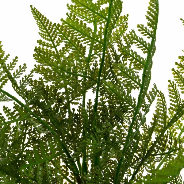Koristekasvi Polyetyleeni Muovinen Saniainen 26 x 26 x 45 cm
