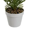 Koristekasvi Polyetyleeni Muovinen Saniainen 26 x 26 x 45 cm