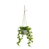 Decorative Plant Polyethylene Cement 23 x 23 x 46 cm