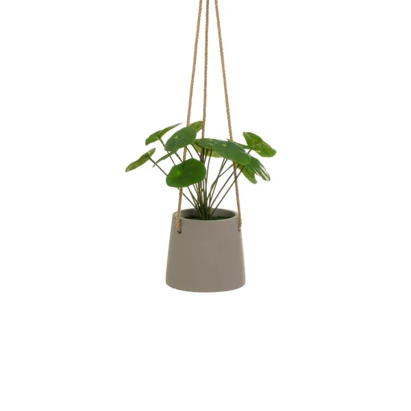 Koristekasvi Polyetyleeni Sementti 23 x 19 x 24 cm
