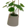 Koristekasvi Polyetyleeni Sementti 23 x 19 x 24 cm