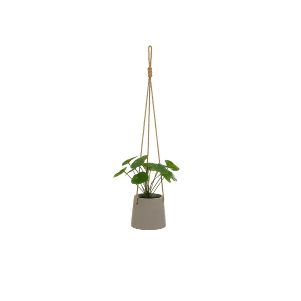Koristekasvi Polyetyleeni Sementti 23 x 19 x 24 cm