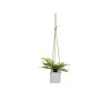 Koristekasvi Polyetyleeni Sementti 30 x 30 x 24 cm