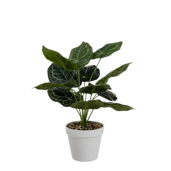 Koristekasvi Polyetyleeni Muovinen 26 x 26 x 43 cm