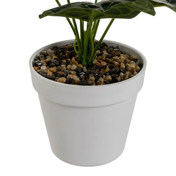 Koristekasvi Polyetyleeni Muovinen 26 x 26 x 43 cm