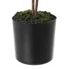 Dekoratīvs Augs Plastmasa 18 x 18 x 64 cm