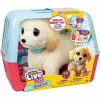 Fluffy toy Little Live Pets Multicolour