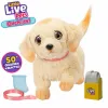 Fluffy toy Little Live Pets Multicolour